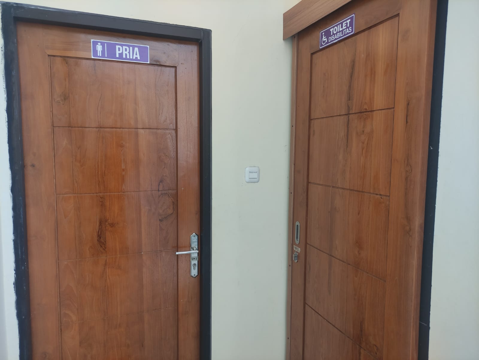 toiletpriadandisabilitas